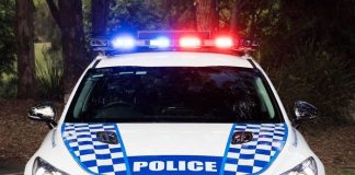 La police australienne s’offre 50 Kia Stinger GT !
