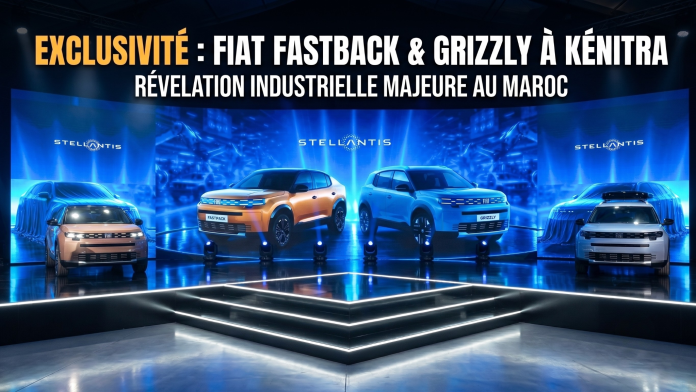 FIAT FASTBACK + GRIZZLY PHOTO POUR SITE INTERNET